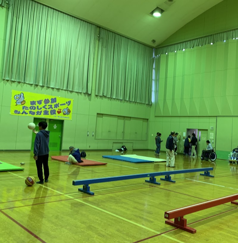 唐子地区体育館のピックルボール関連イメージ
