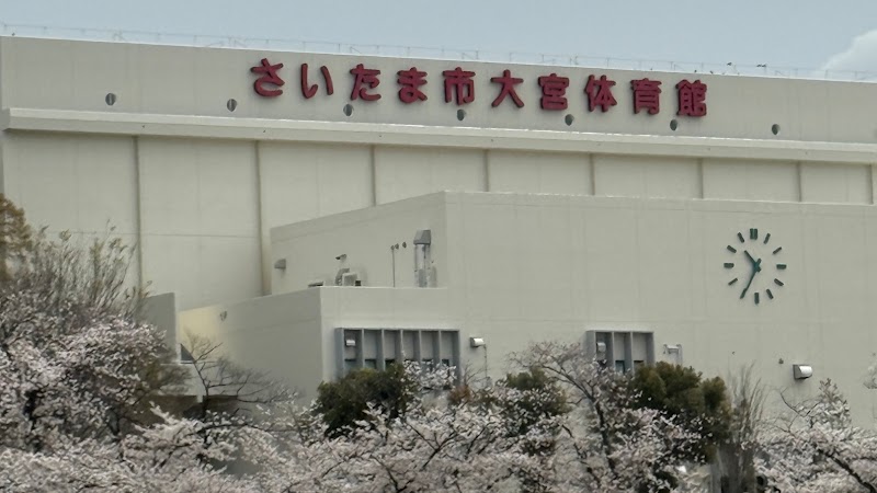 さいたま市大宮体育館のピックルボール関連イメージ