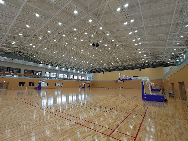 小山市立体育館のピックルボール関連イメージ