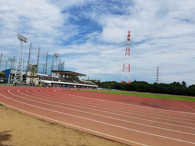船橋市運動公園のピックルボール関連イメージ