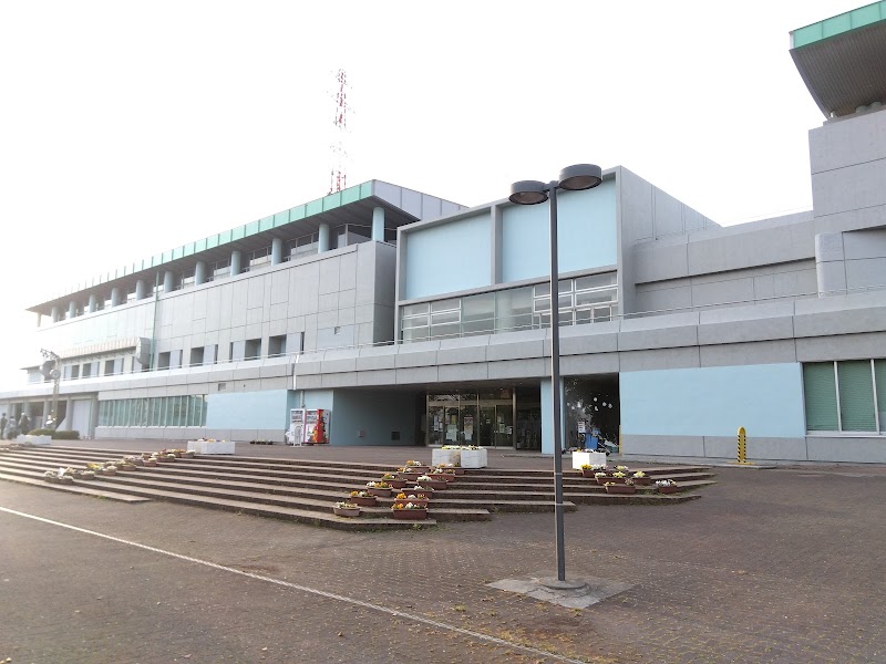 海老名運動公園 総合体育館のピックルボール関連イメージ