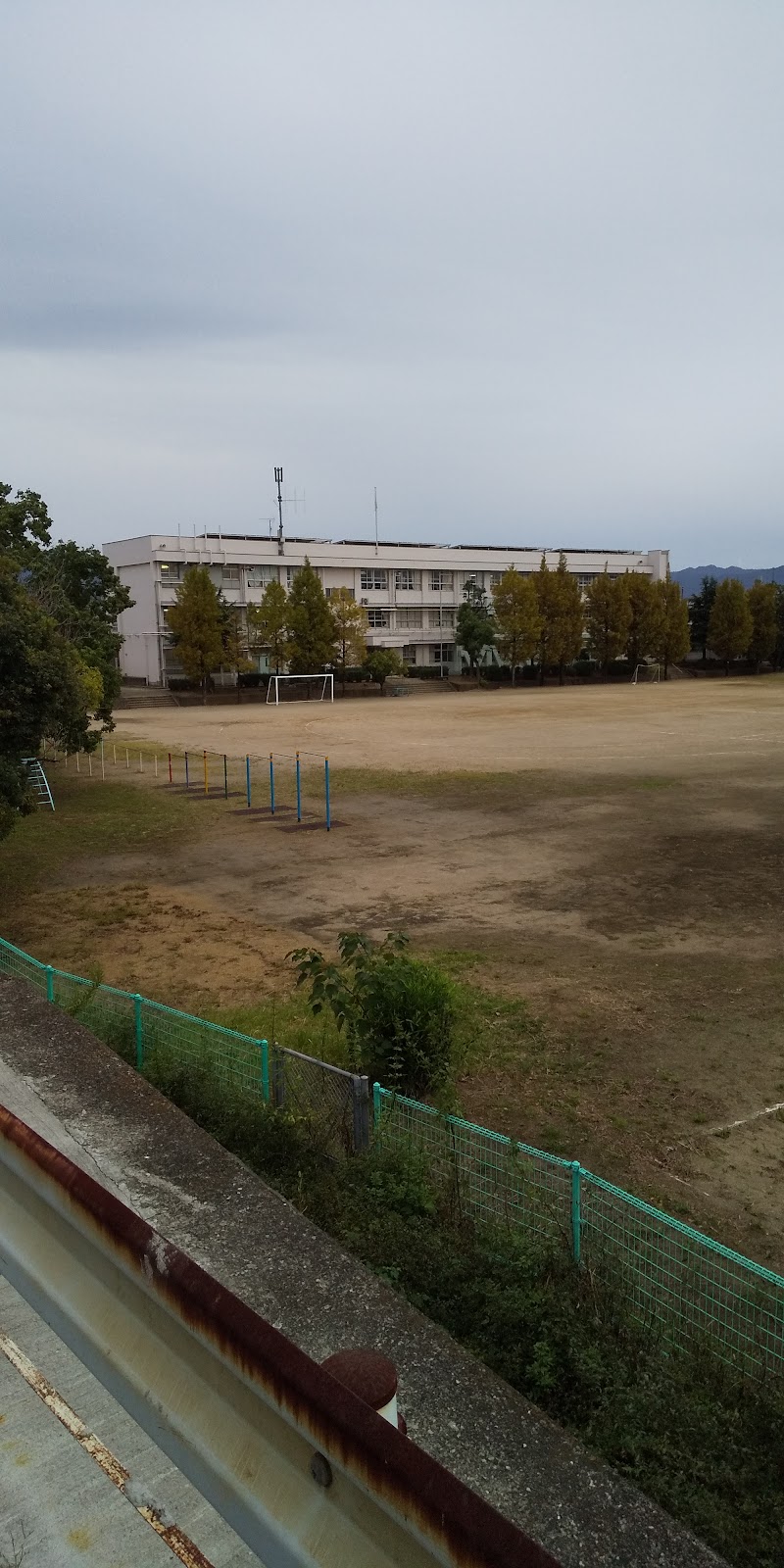 泉佐野市立佐野台小学校のピックルボール関連イメージ