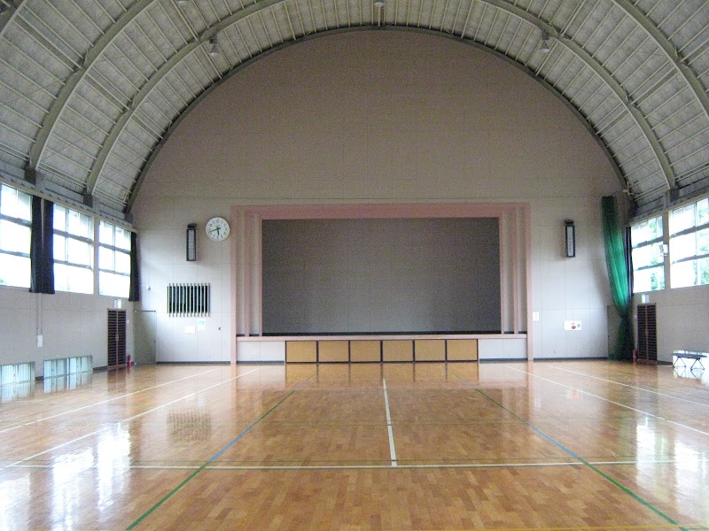 川越市芳野台体育館のピックルボール関連イメージ