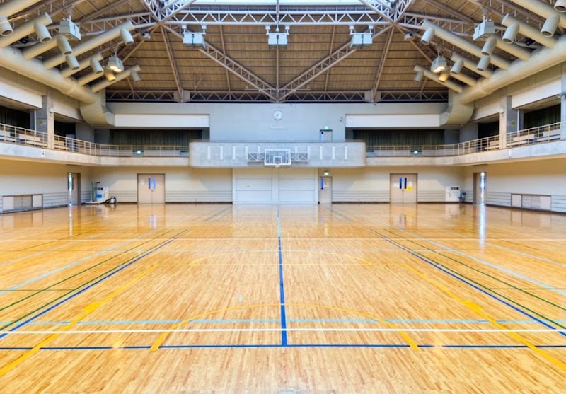 山科地域体育館のピックルボール関連イメージ
