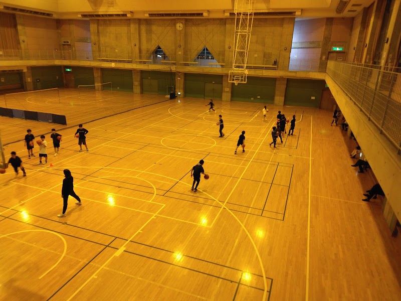 長岡市南部体育館のピックルボール関連イメージ