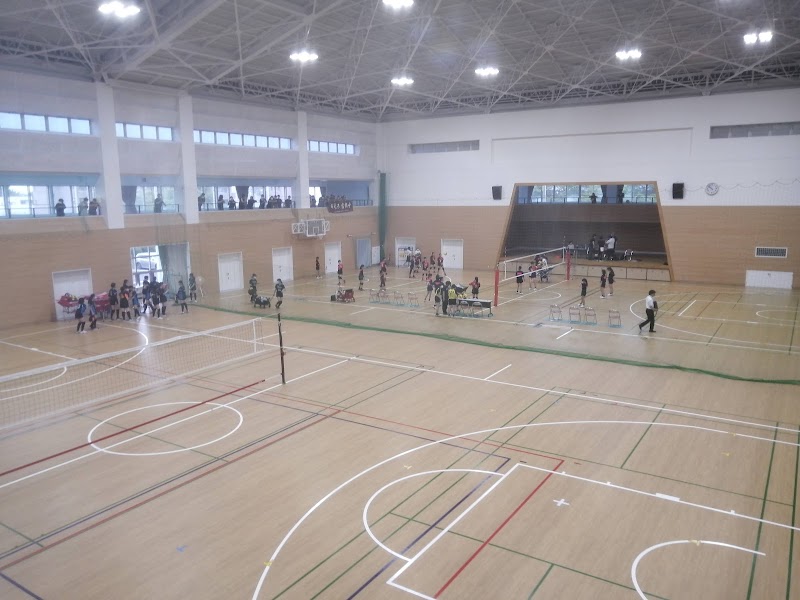 玉村町社会体育館のピックルボール関連イメージ