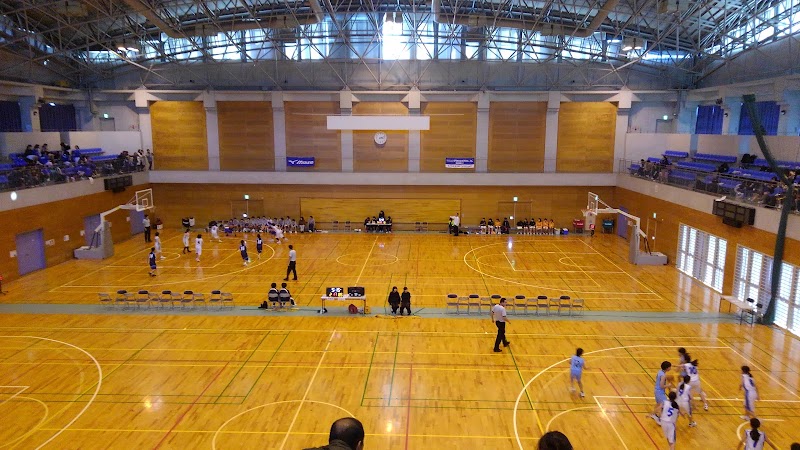 LIXIL石下総合体育館のピックルボール関連イメージ