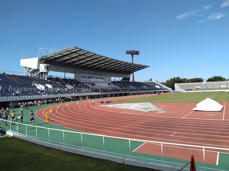 笠松運動公園 体育館のピックルボール関連イメージ