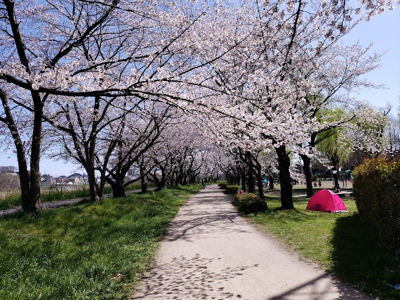 三橋総合公園のピックルボール関連イメージ