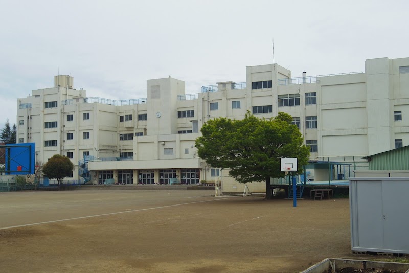 大和市立柳橋小学校のピックルボール関連イメージ