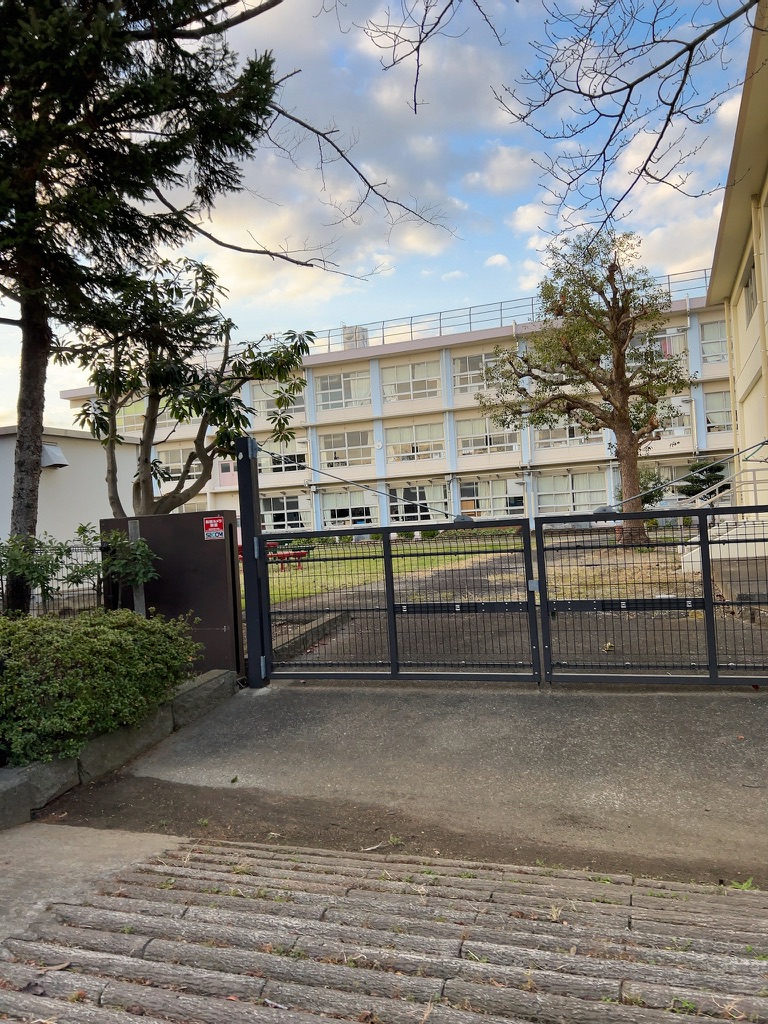 平塚市立南原小学校のピックルボール関連イメージ