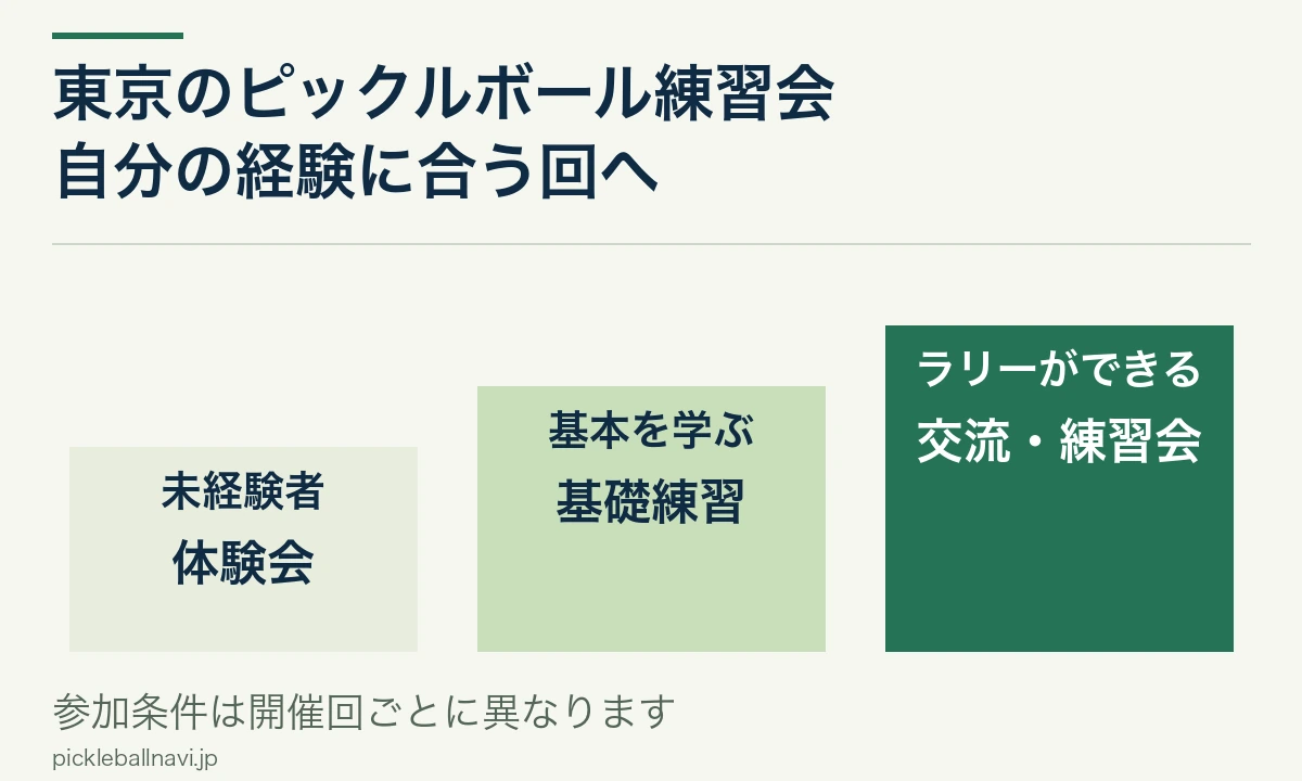 東京のピックルボールは未経験者向け体験、基礎練習、ラリーができる方向け交流で対象を選ぶ