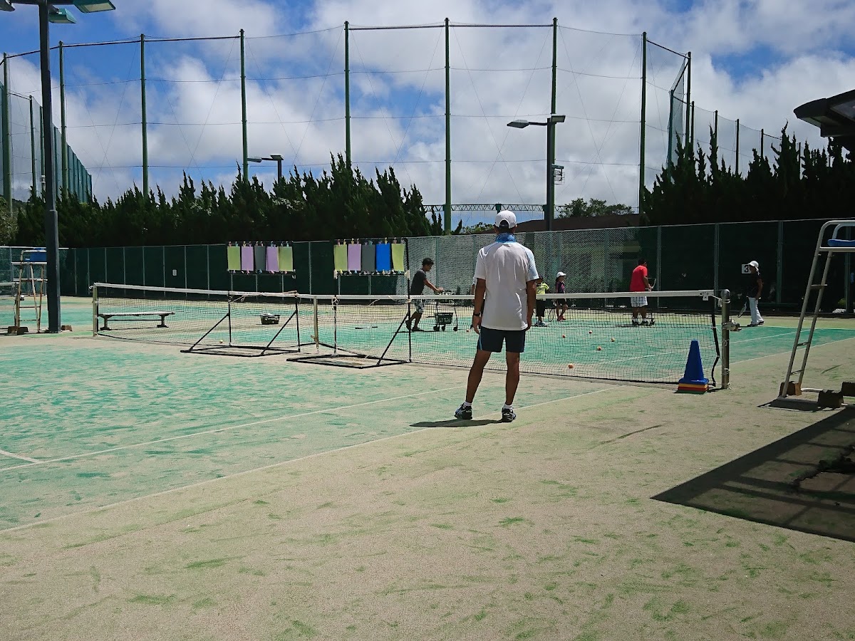 TTS館山テニススクールのピックルボール関連イメージ