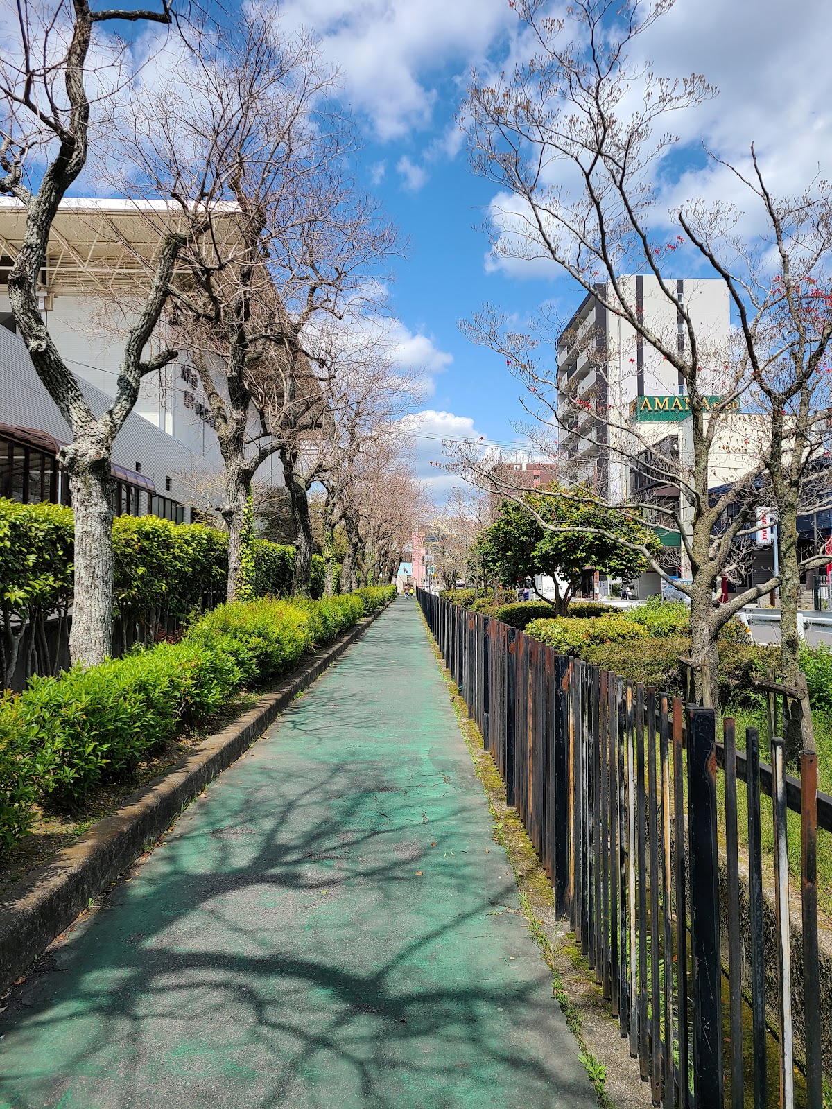 SG LIFE ピックルボールクラブの写真2/5