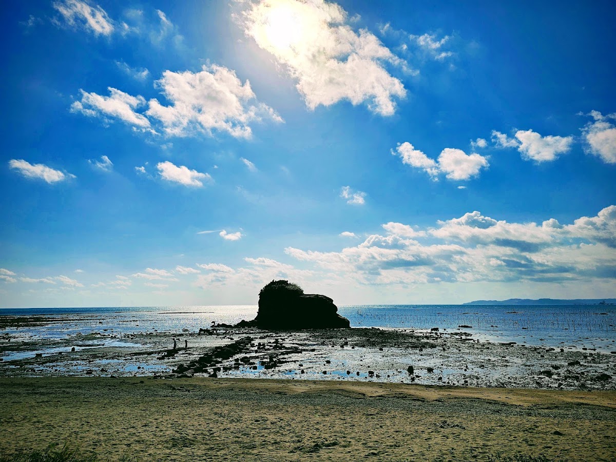沖縄県総合運動公園の写真3/6