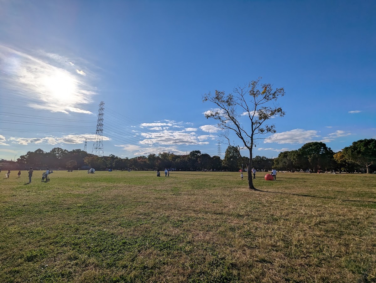 深北緑地ピックルボールコートの写真1/5