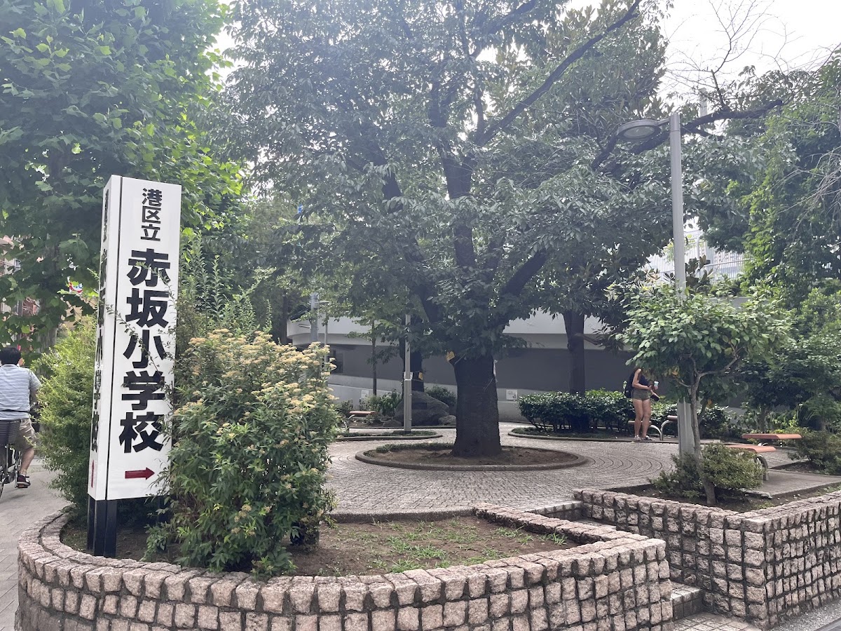 赤坂小学校 体育館の写真5/5