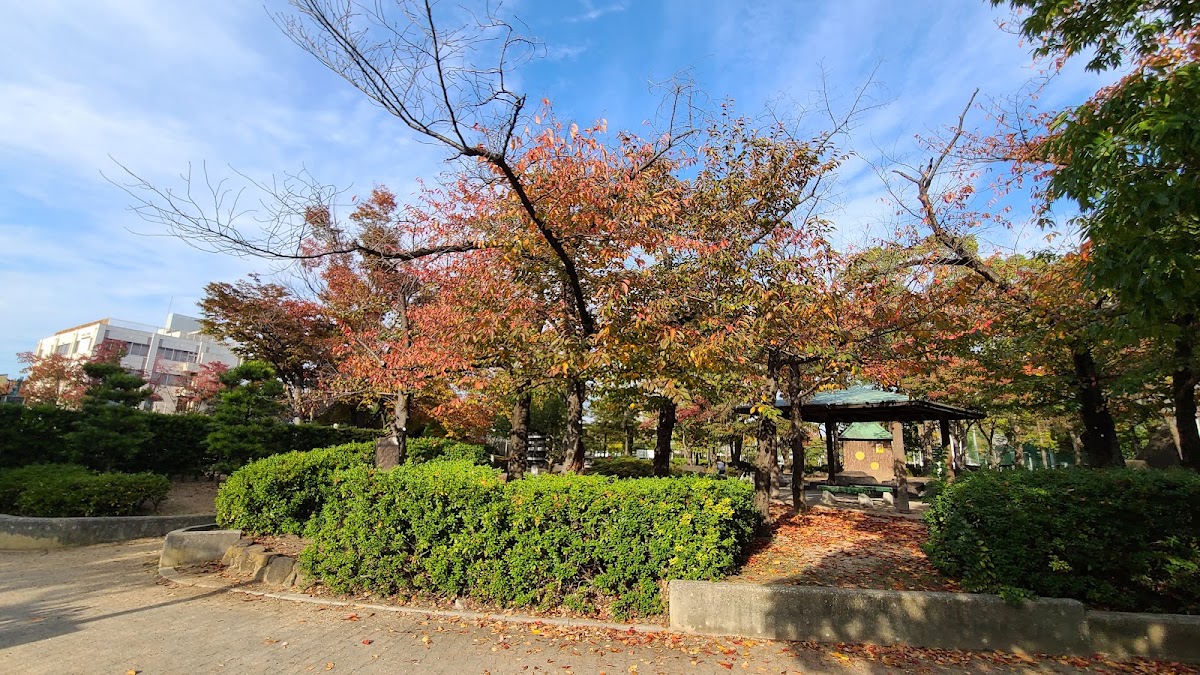 東雲公園 OZU Pickleball Park（おづピックルボールパーク）の写真3/5