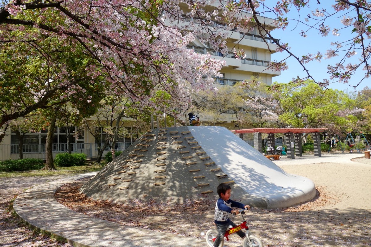 東雲公園 OZU Pickleball Park（おづピックルボールパーク）の写真4/5