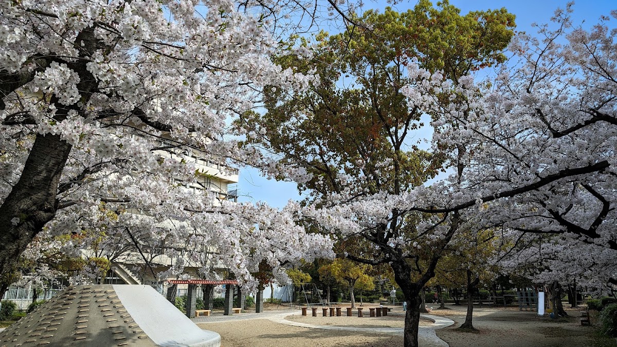 東雲公園 OZU Pickleball Park（おづピックルボールパーク）の写真5/5