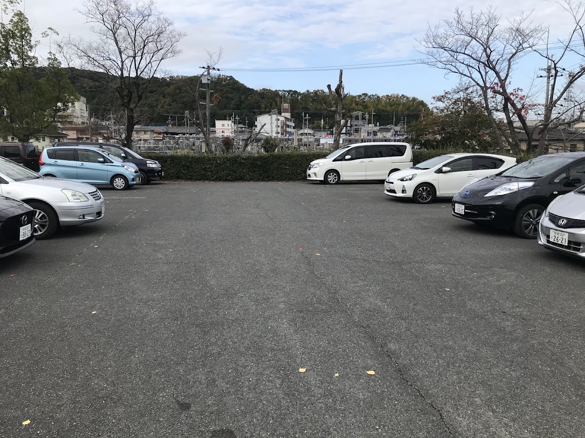 河内長野ピックルボール同好会の写真4/5