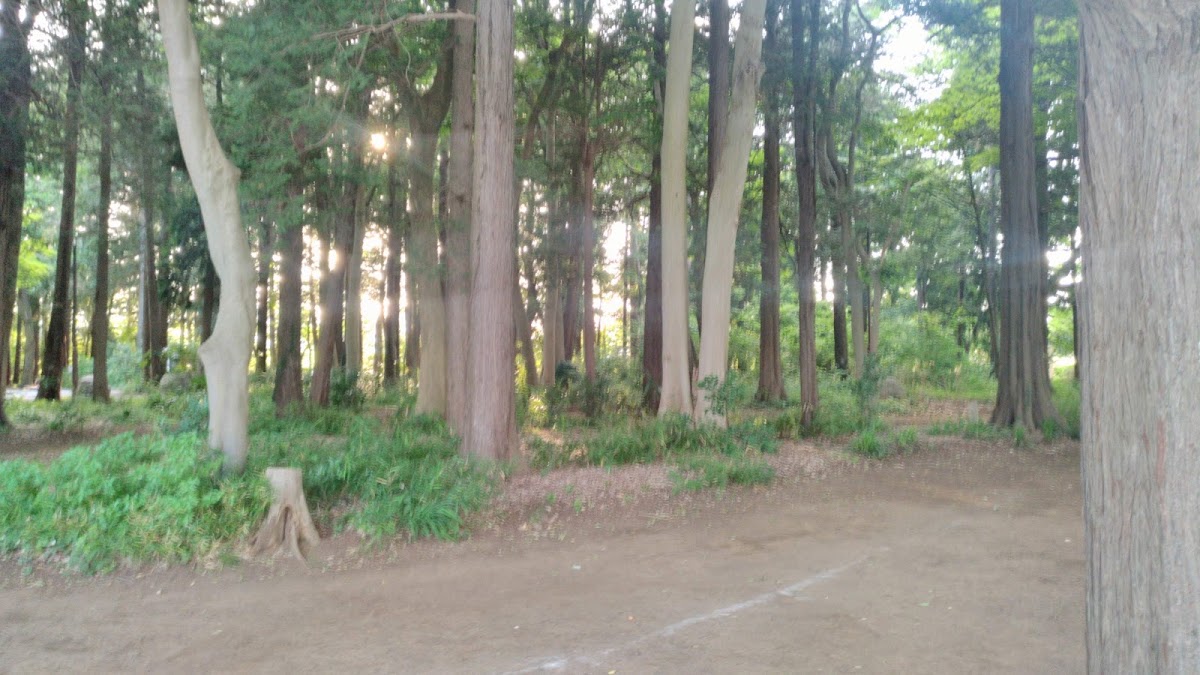 横浜市瀬谷スポーツセンターの写真2/6