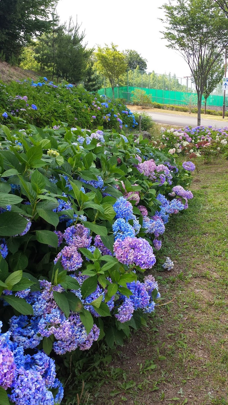 北神戸田園スポーツ公園の写真2/3
