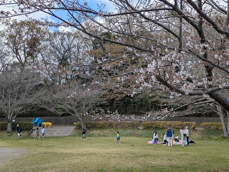 船橋市運動公園の写真2/3