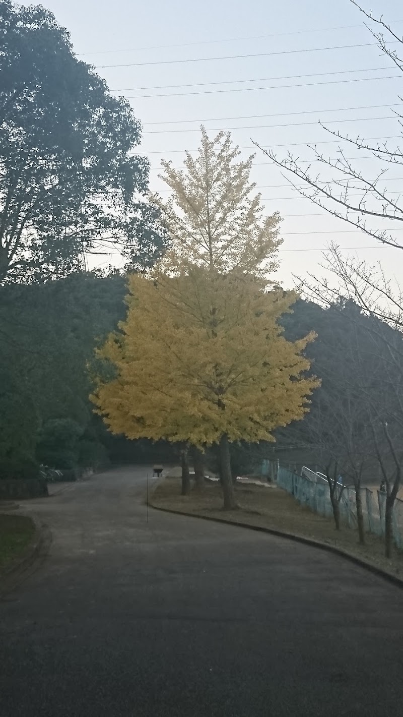 船橋市運動公園の写真3/3