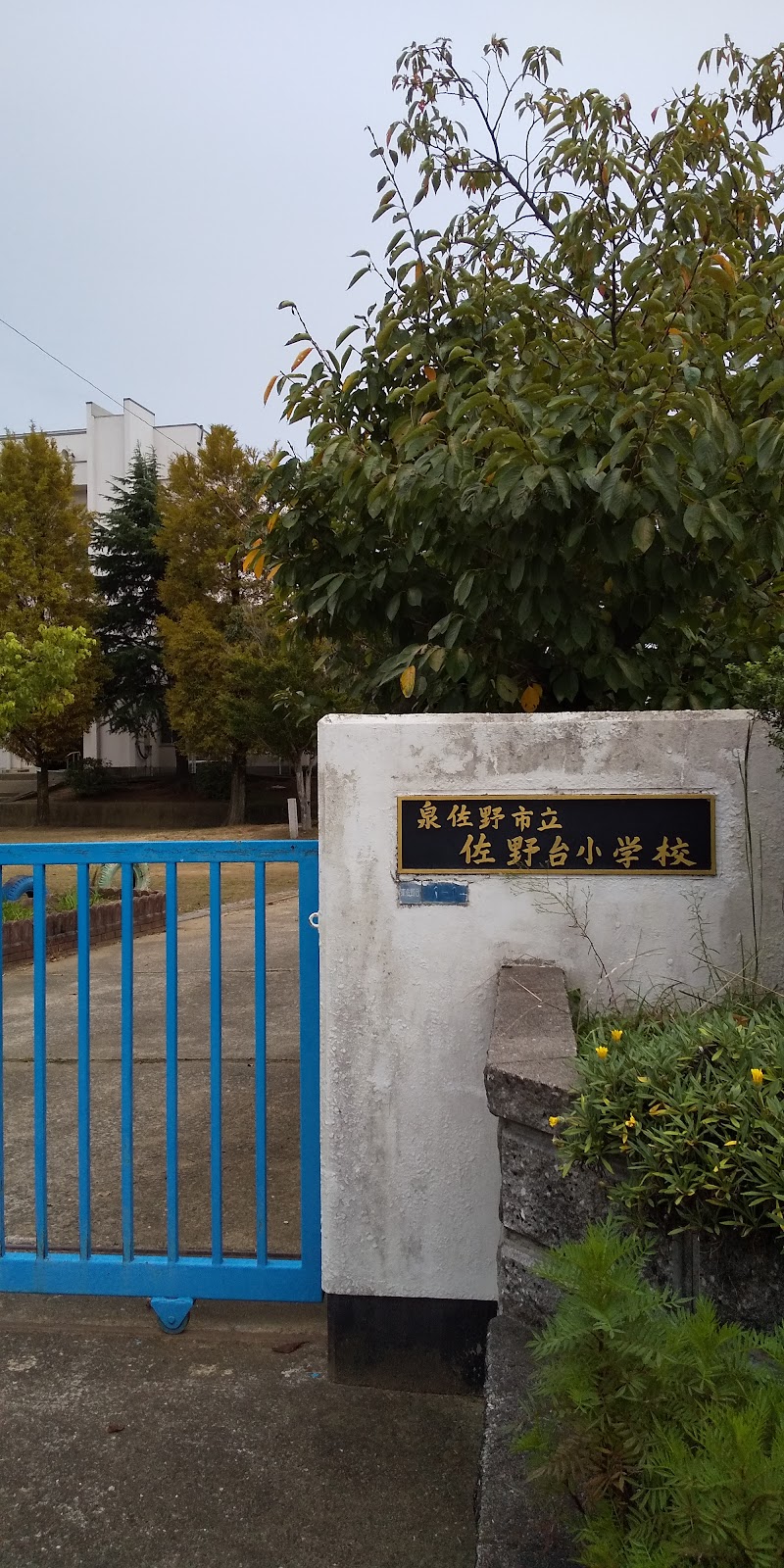 泉佐野市立佐野台小学校の写真2/3