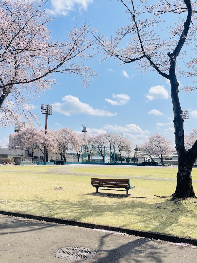 上三川日産スポーツセンターの写真2/3