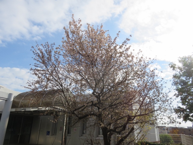 藤が丘地区センターの写真4/6